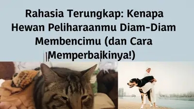 Rahasia Terungkap: Kenapa Hewan Peliharaanmu Diam-Diam Membencimu (dan Cara Memperbaikinya!)