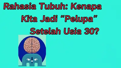 Rahasia Tubuh: Kenapa Kita Jadi "Pelupa" Setelah Usia 30?